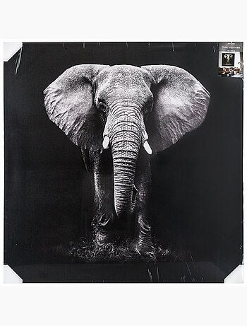 Toile imprimée éléphant ANIMAUX