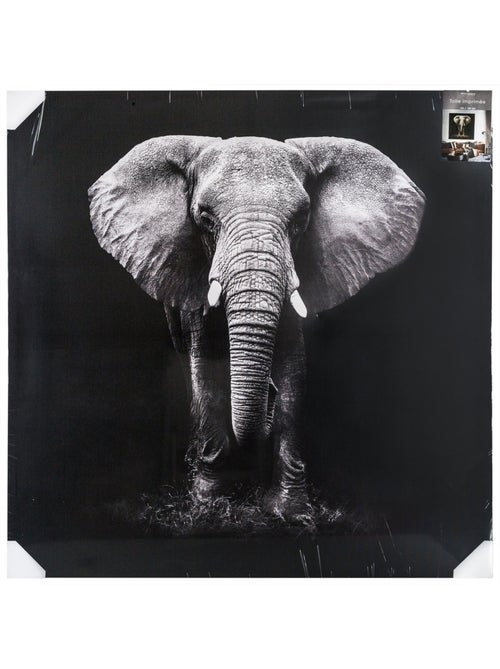 Toile imprimée éléphant ANIMAUX - Kiabi
