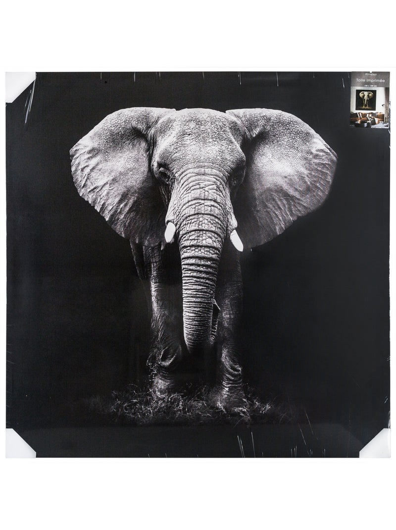 Toile imprimée éléphant ANIMAUX Noir Blanc - Kiabi
