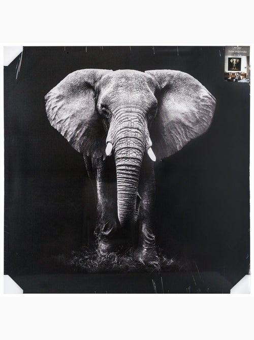 Toile imprimée éléphant ANIMAUX - Kiabi