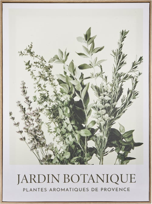 Toile imprimée encadrée botanique CECILIA - Kiabi