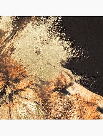 Toile imprimée LION