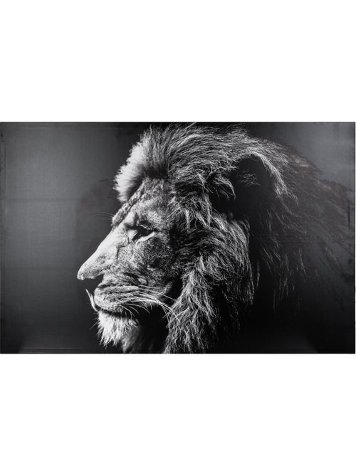 Toile imprimée portrait lion ANIMAUX - Kiabi
