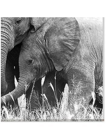 Toile murale ELEPHANT