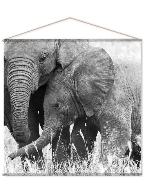 Toile murale ELEPHANT - Kiabi