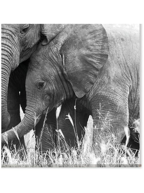 Toile murale ELEPHANT - Kiabi