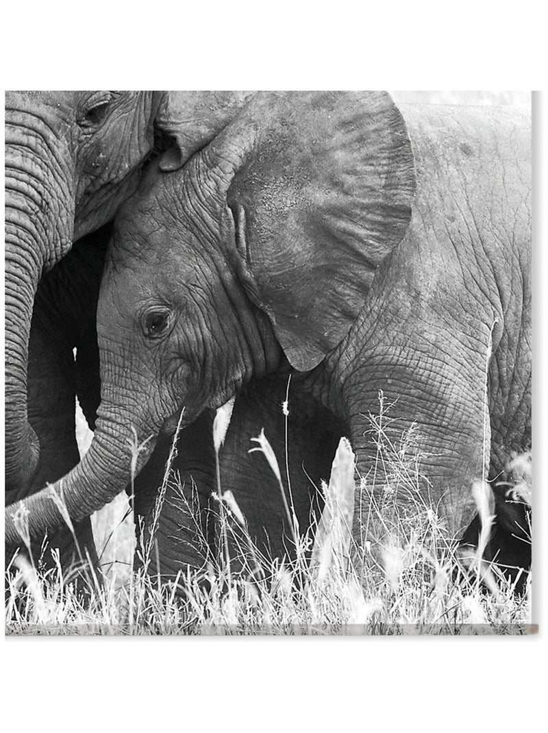 Toile murale ELEPHANT Noir - Kiabi