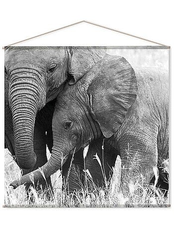 Toile murale imprimée éléphant