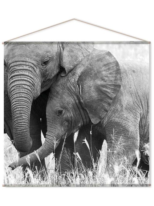 Toile murale imprimée éléphant PANORAMA - Kiabi