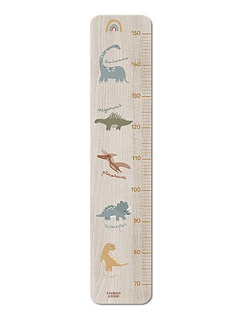 Toise en Bois Collection 5 Dinos