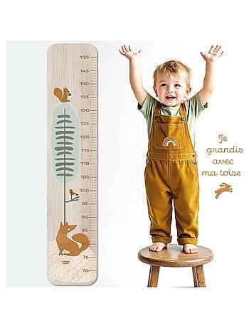 Toise en Bois Renard Assis Forêt Edgar