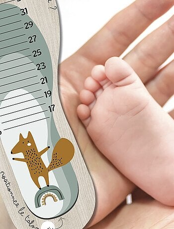 Toise pédimètre en bois Edgar Renard