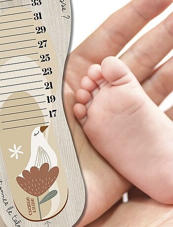 Toise pédimètre en bois Lili-Rose