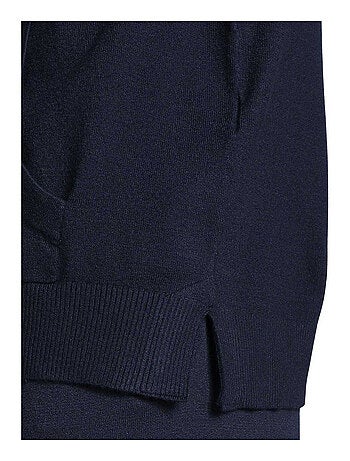 Tommy Hilfiger - Sweat à capuche motif/style Logo brodé