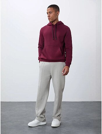 Tommy sweat à capuche homme uni avec poche