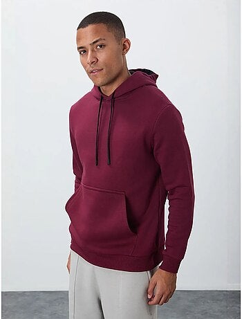 Tommy sweat à capuche homme uni avec poche