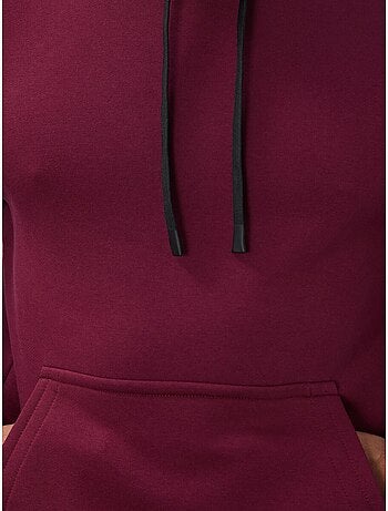 Tommy sweat à capuche homme uni avec poche