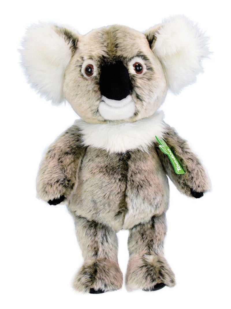 Toodoo peluche KOALA PANTIN H30 cm Multicolore - Kiabi