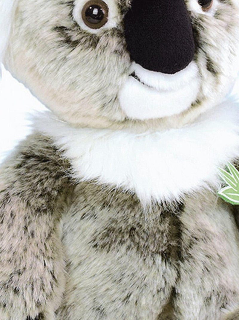 Toodoo peluche KOALA PANTIN H30 cm Multicolore - Kiabi