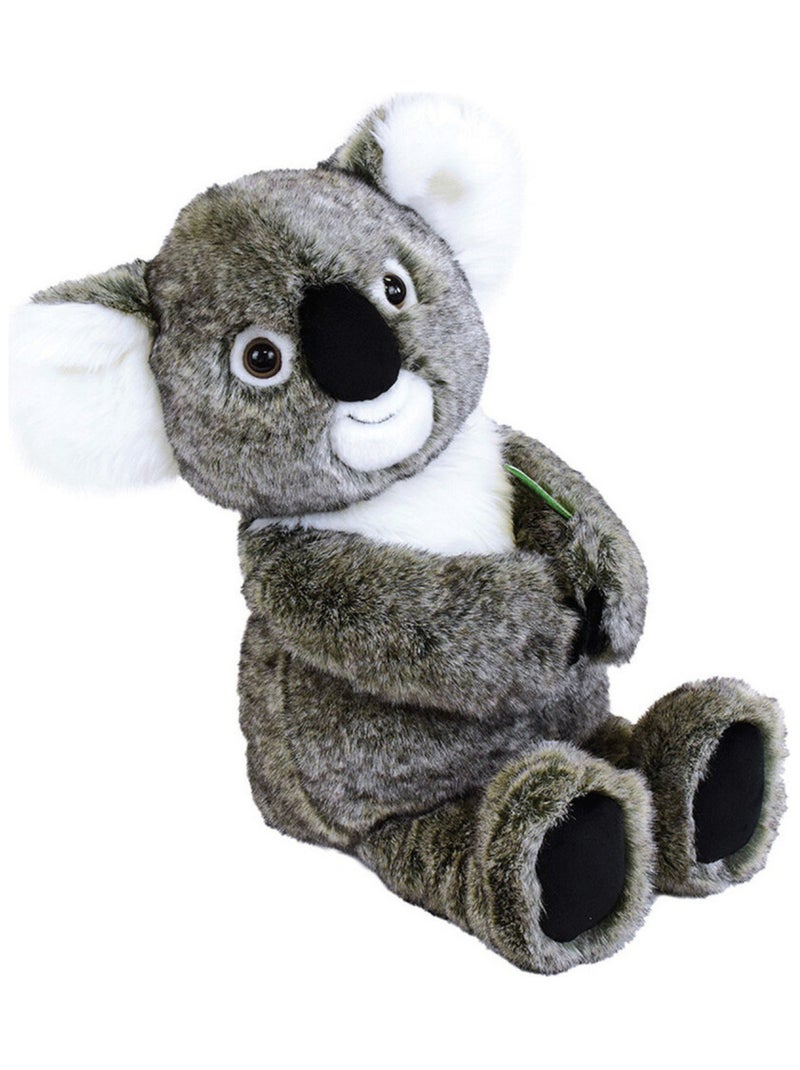 Toodoo peluche KOALA PANTIN H48 cm Multicolore - Kiabi