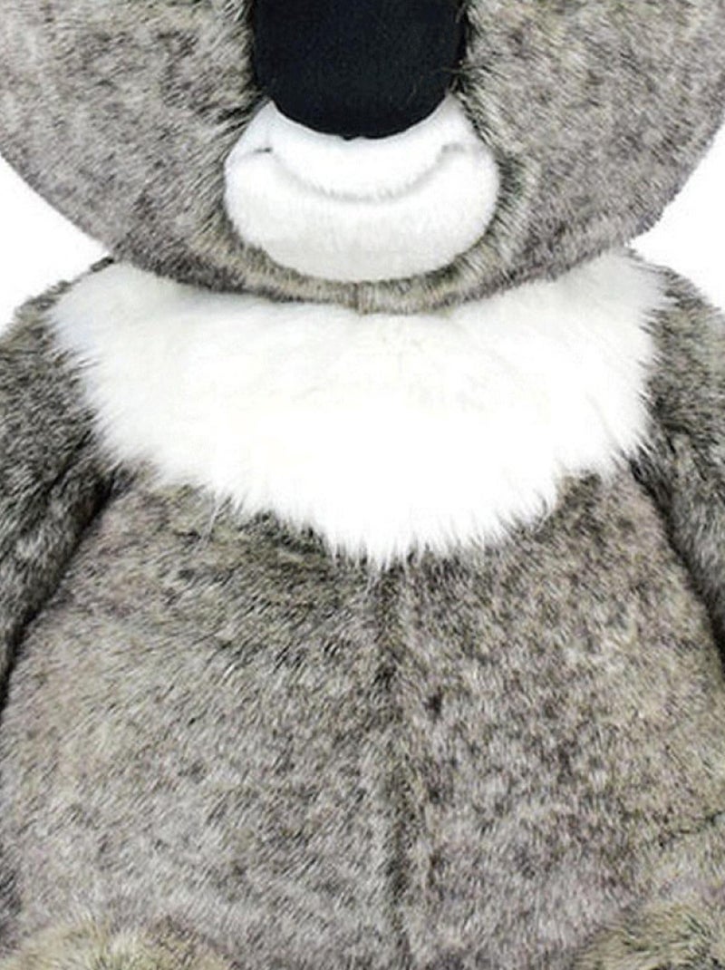 Toodoo peluche KOALA PANTIN H60 cm Multicolore - Kiabi