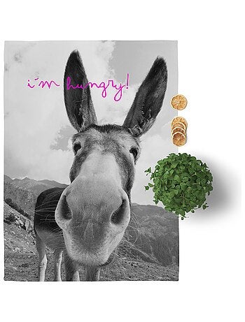 Torchon (2 pièces) Farm "Happyfriday