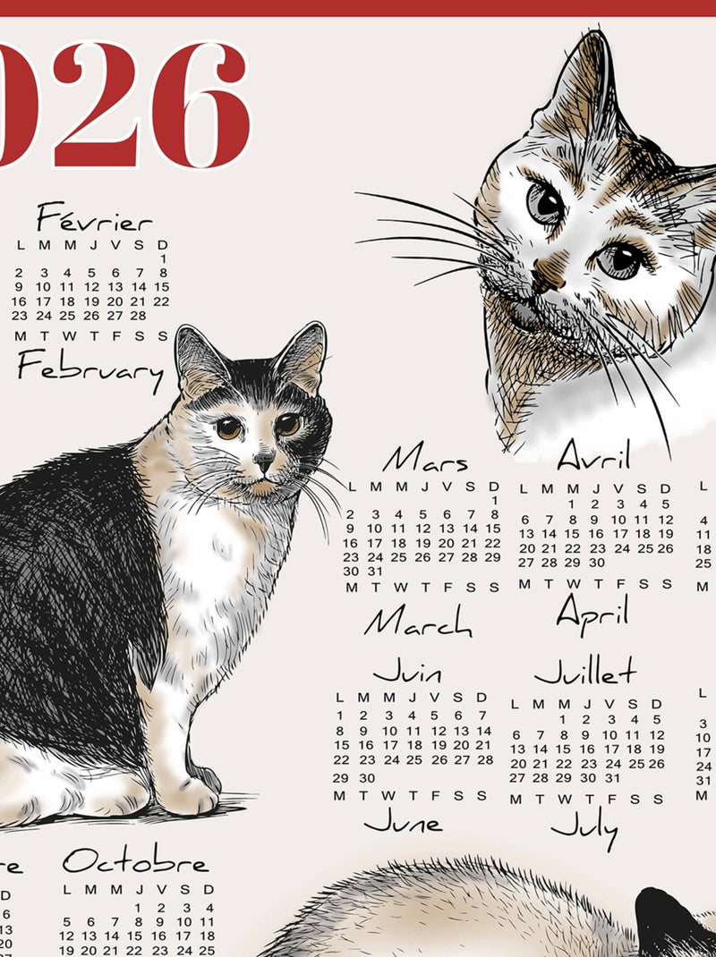 Torchon calendrier 2026 motif chats coton Rouge - Kiabi