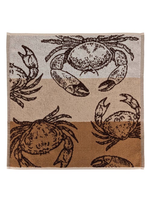Torchon de cuisine ATLANTIC 50x50 cm - Kiabi Torchon de cuisine ATLANTIC 50x50 cm - Kiabi