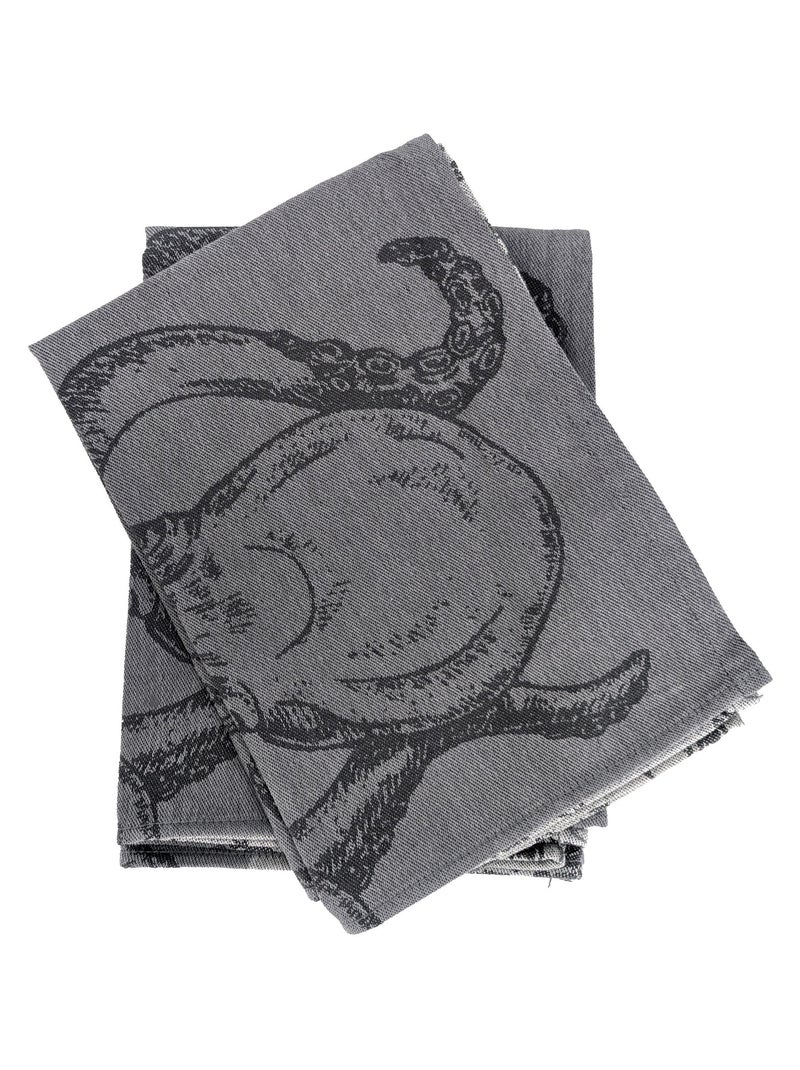 Torchon de cuisine ATLANTIC 50x70 cm Gris - Kiabi