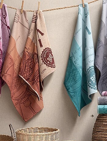 Torchon de cuisine éponge collection BBQ 50x50 cm