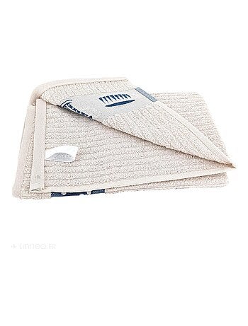 Torchon de cuisine éponge collection DELICARA 50x50 cm