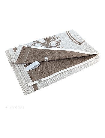 Torchon de cuisine éponge collection EVOO 50x50 cm