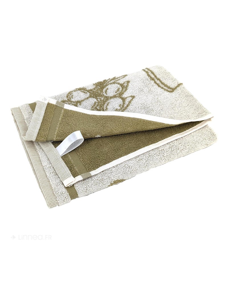 Torchon de cuisine éponge collection EVOO 50x50 cm Kaki - Kiabi
