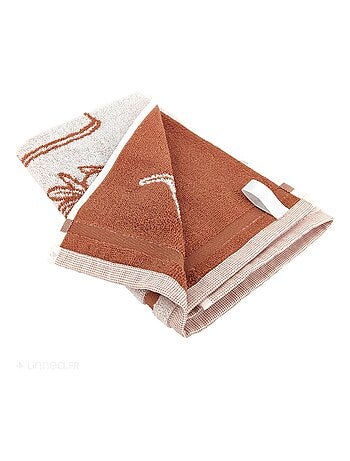 Torchon de cuisine éponge collection EVOO 50x50 cm