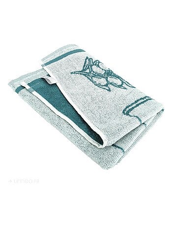 Torchon de cuisine éponge collection EVOO 50x50 cm