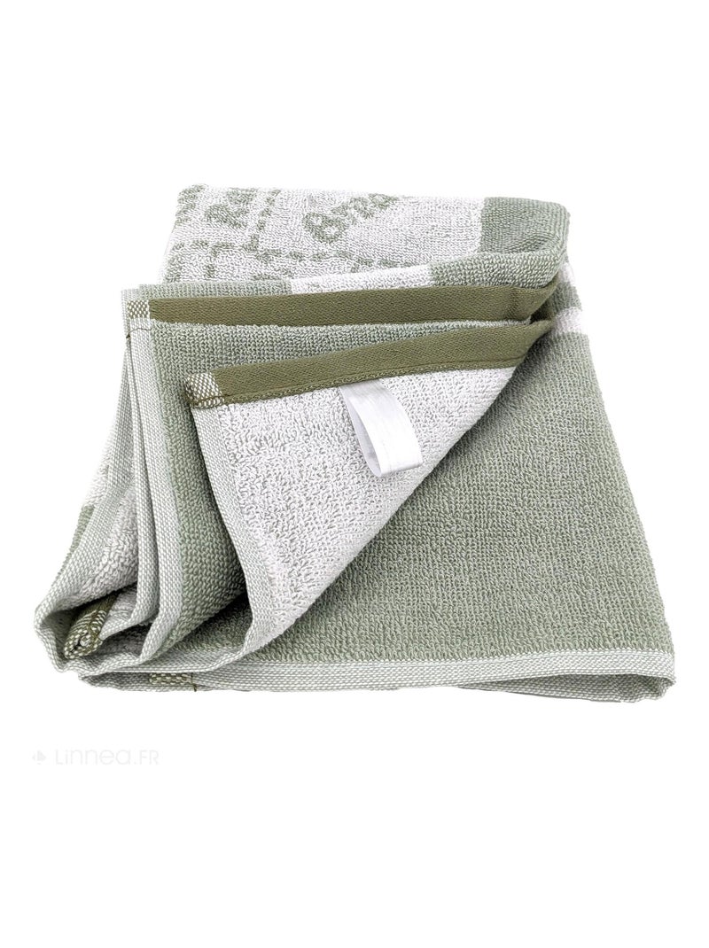 Torchon de cuisine éponge collection GRILLUXE 50x50 cm Vert - Kiabi
