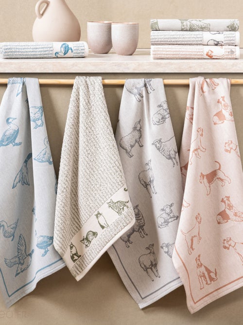 Torchon de cuisine FRIENDS 50x70 cm - Kiabi