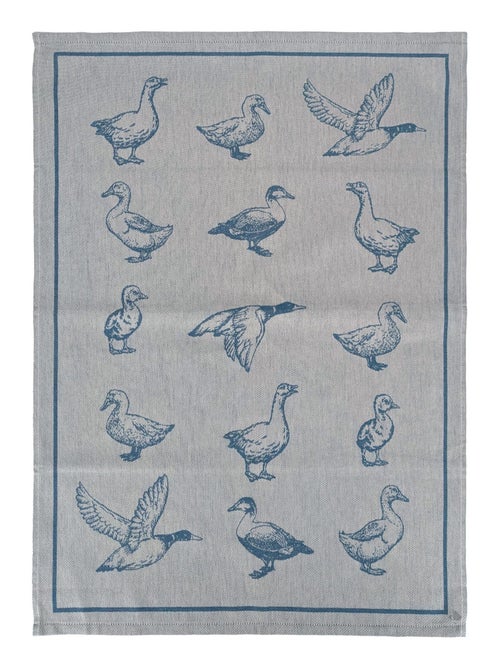 Torchon de cuisine FRIENDS 50x70 cm - Kiabi