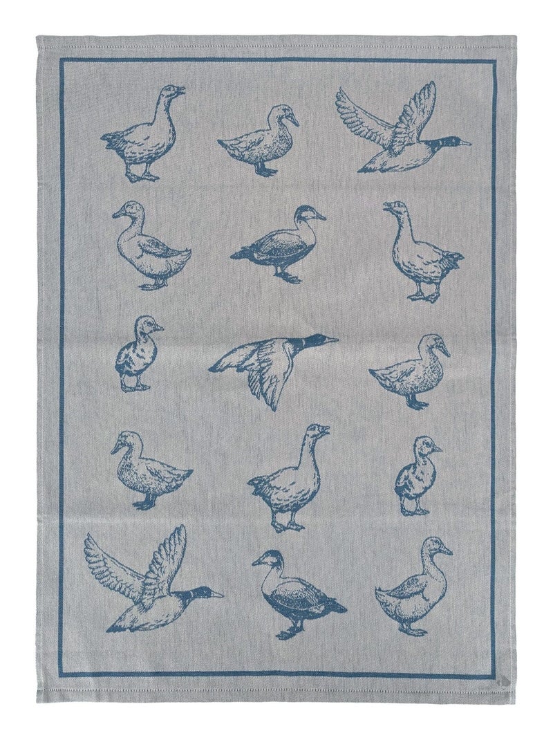 Torchon de cuisine FRIENDS 50x70 cm Bleu - Kiabi