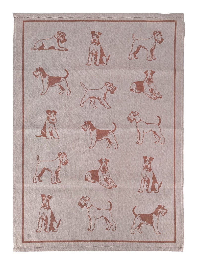 Torchon de cuisine FRIENDS 50x70 cm Marron - Kiabi