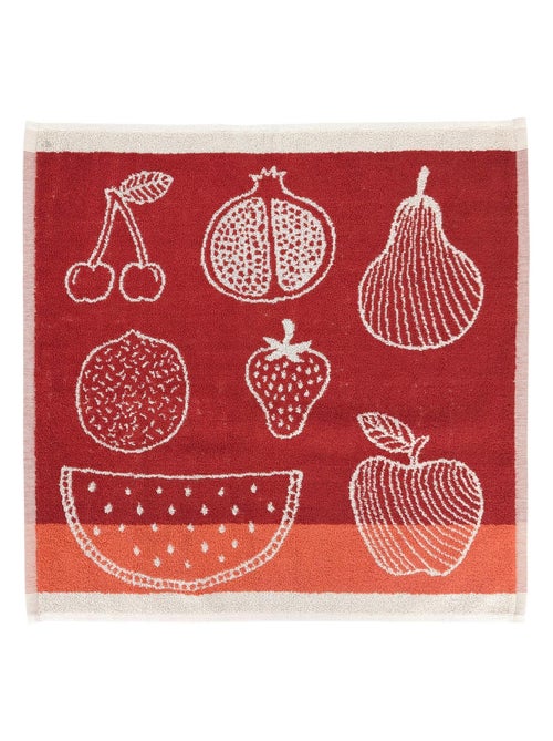 Torchon de cuisine FRUITFUL Éponge - Kiabi