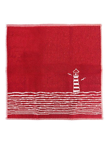 Torchon de cuisine NAUTILUS Éponge