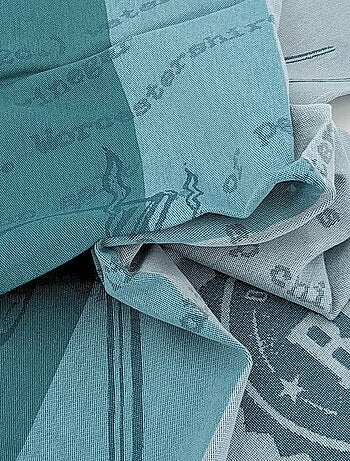 Torchon de cuisine toile collection BBQ 50x70 cm