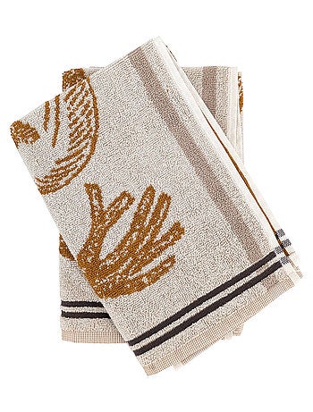 Torchon de cuisine VEG Éponge