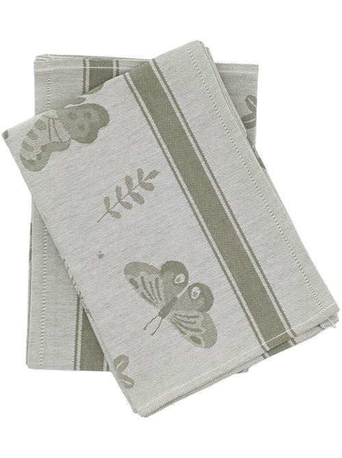 Torchon de cuisine WINGS 50x70 cm - Kiabi