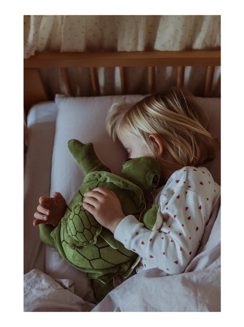 Tortue en peluche lestée 1,6 kg - Kiabi