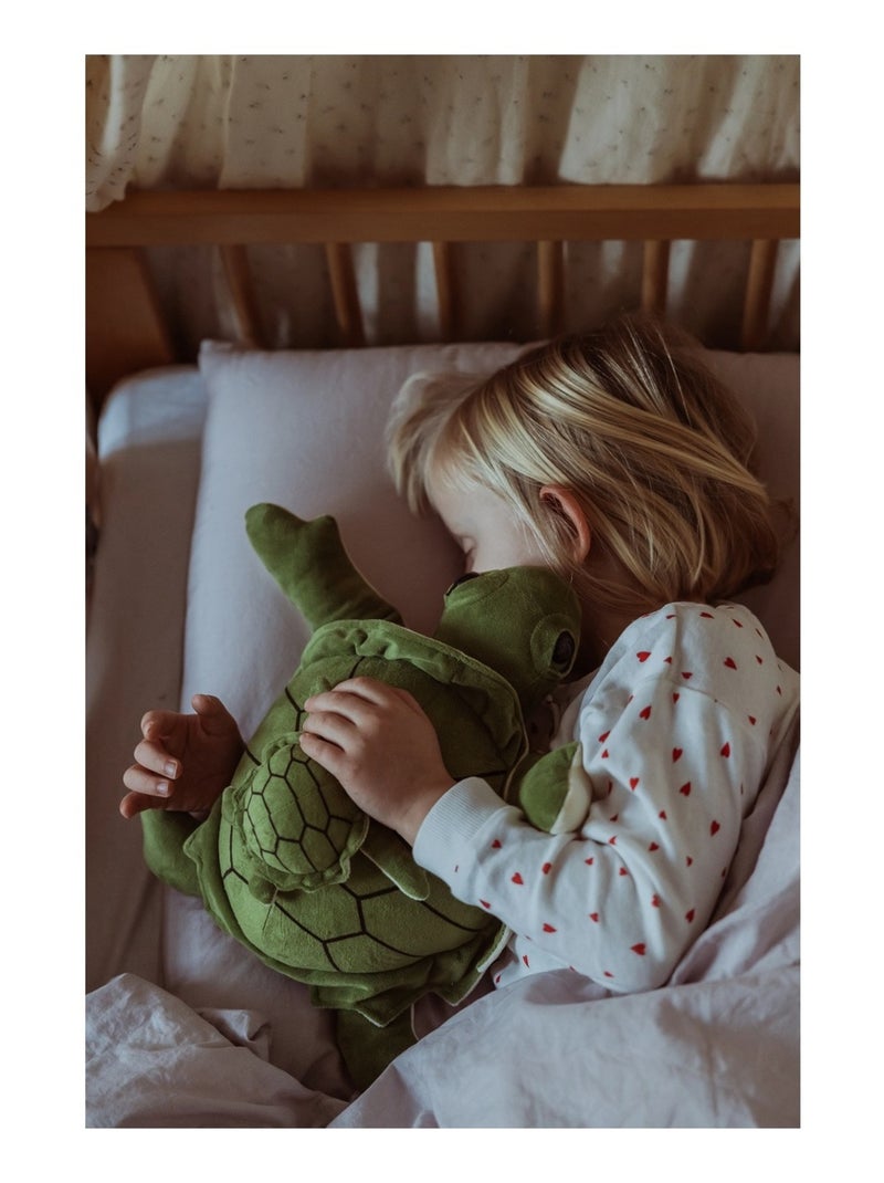 Tortue en peluche lestée 1,6 kg Vert - Kiabi