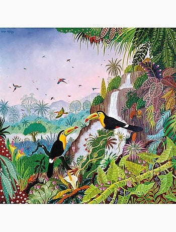 Toucans à carène d'alain thomas