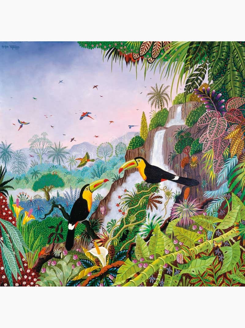 Toucans à carène d'alain thomas N/A - Kiabi