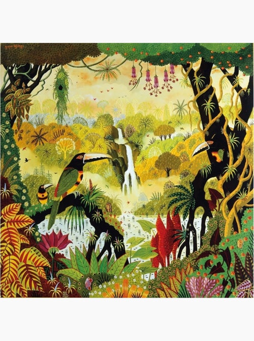 Toucans à la cascade - Kiabi